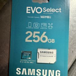 Samsung EVO Select 256GB microSDXC
