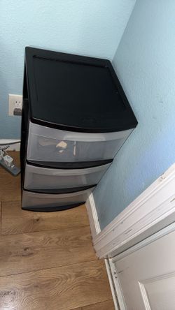 Organizer, Organizador