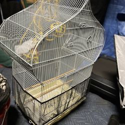 Bird Cage