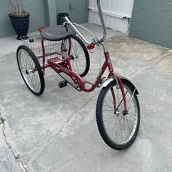 Trialmate  Desoto  Bike 