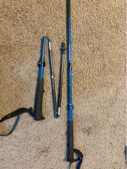Black Diamond Distance Carbon FLZ Trekking Poles - Pair