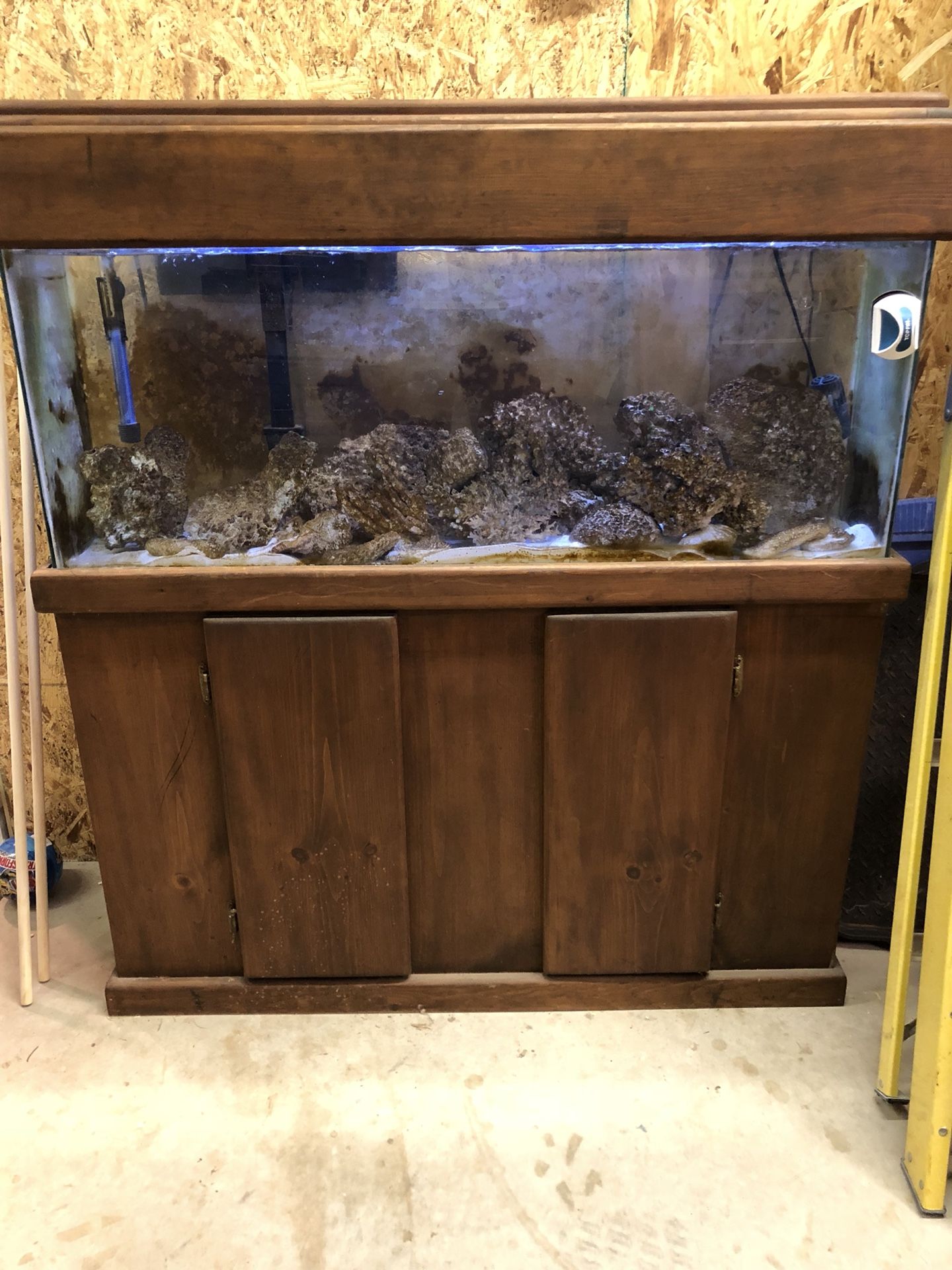 55 gallon fish tank, stand and canopy.