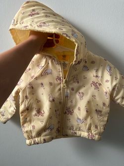 Winnie the Pooh