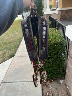 Harness