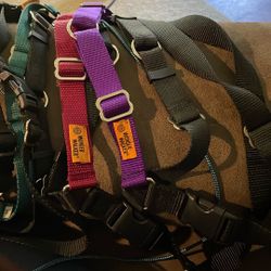 Wonder Walker Harnesses - Each $20
