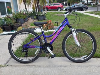 🚵 Schwinn Ranger 24" Mountain Bike – 15" Frame – $50