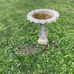 Bird Bath