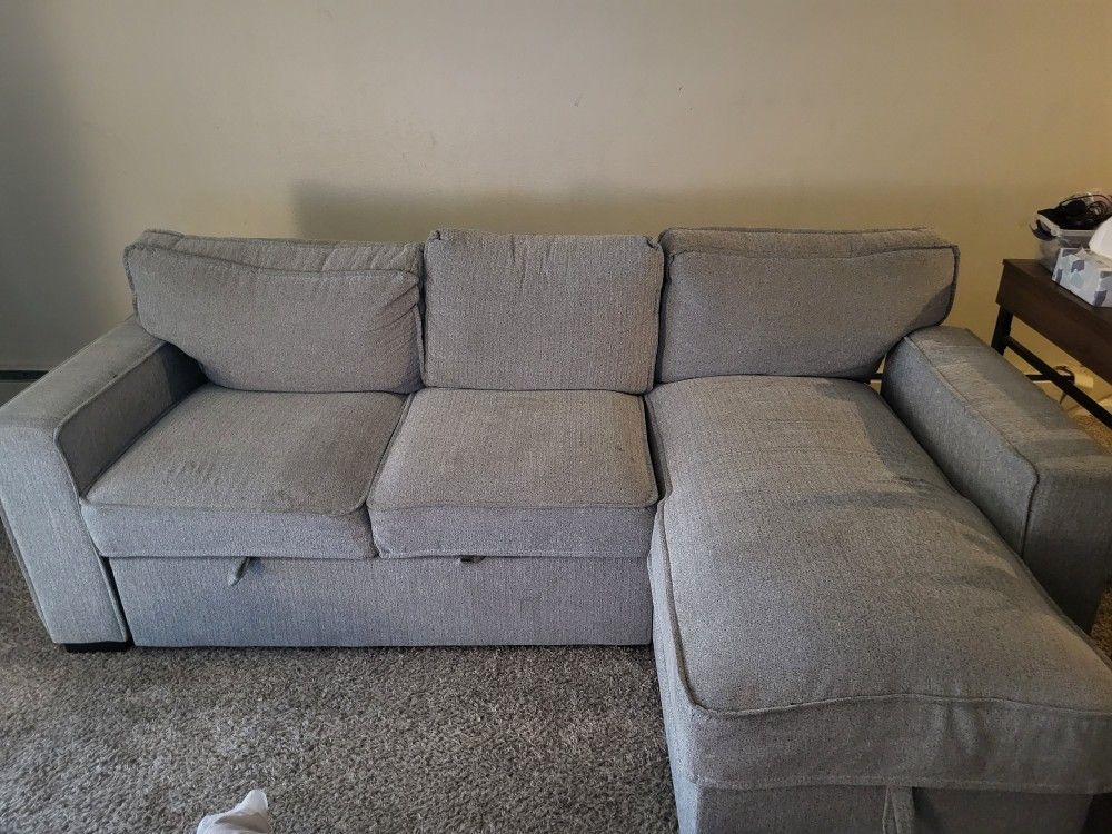 Couch With Chaise And Pull-out Bed $100 OBO