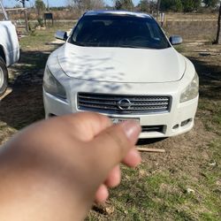 2010 Nissan Maxima