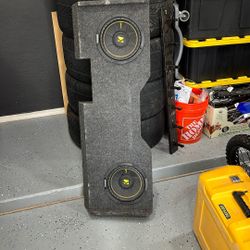 10” Subwoofer 🔊 
