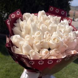 50 Count Ramo Available 