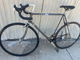 Schwinn Tempo Road Bike