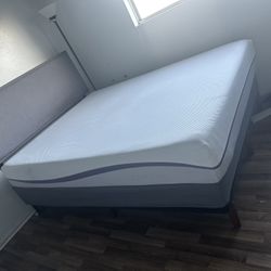 Purple Queen Mattress + Matching Bed Frame – Clean, No Stains, No Odors