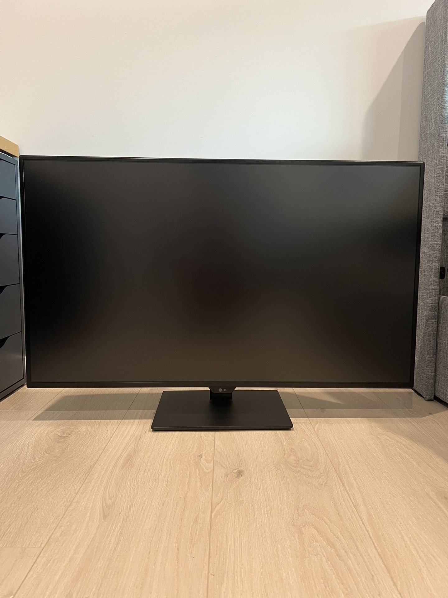 LG 43” Monitor