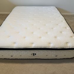 Like New Plushbeds Organic Latex Hybrid Queen Mattress