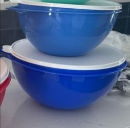 Tupperware new set price firm