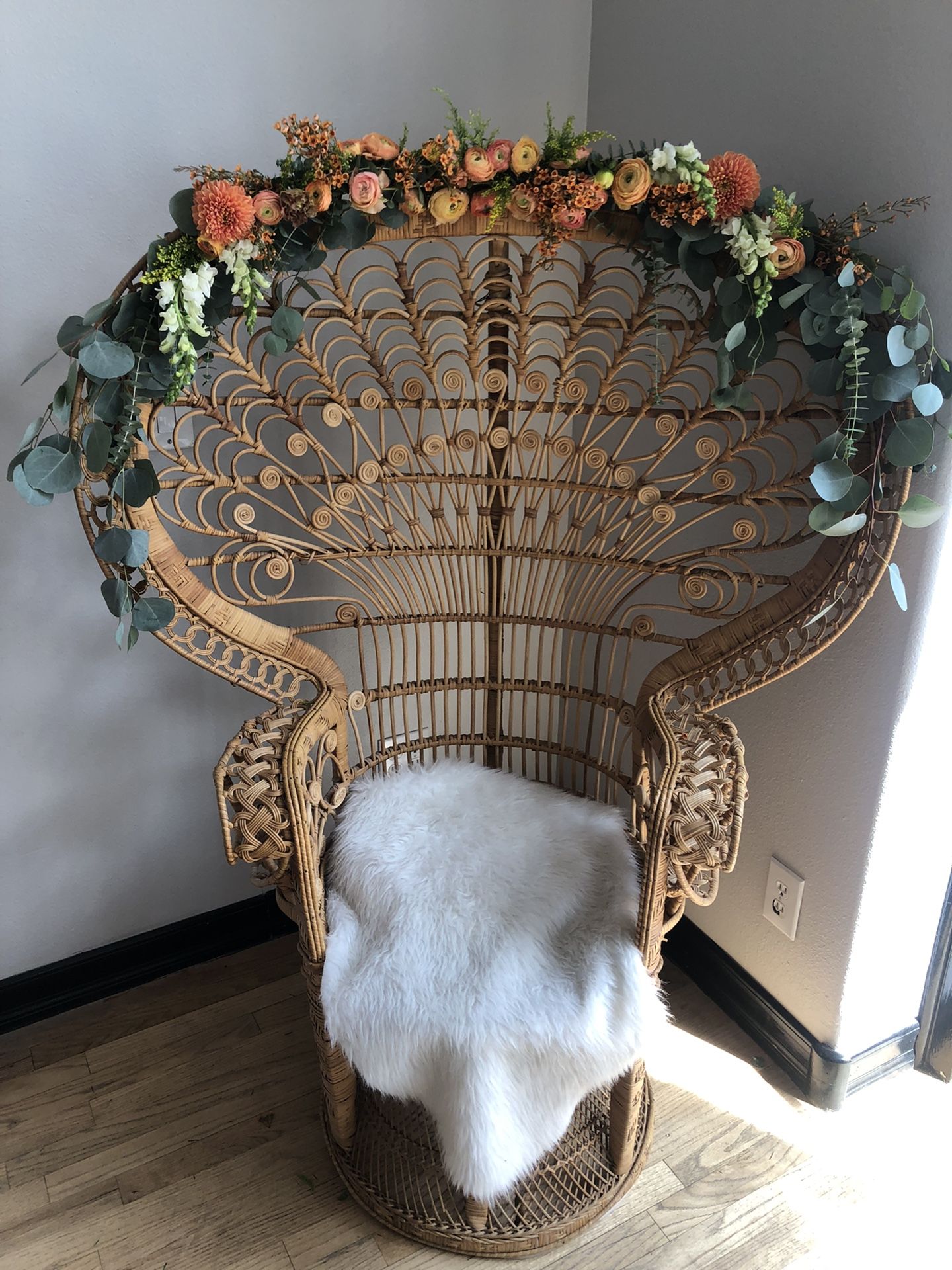 Peacock chair