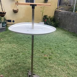 Bird Stand