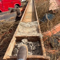 Steele Eye Beans Different Sizes 