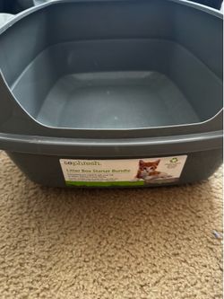 Kitten Litter Box