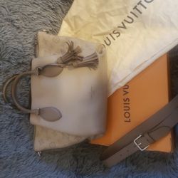 Louis Vuitton Haumea Handbag