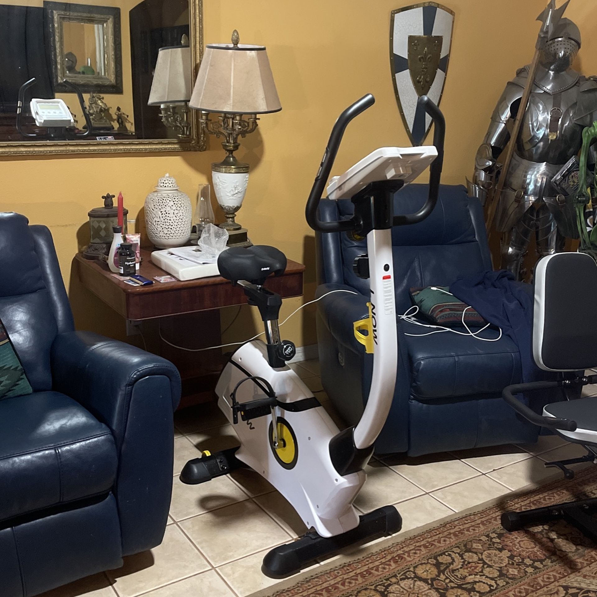 Stationary Bike ( Exercises Or Therapy ) Like NEW !