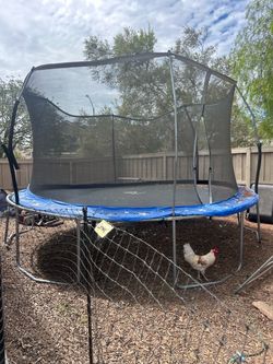 Large Round Trampoline with Safety Net Enclosure