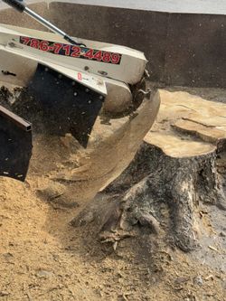 Stump Grinding & Tree Trimmer