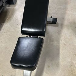 Nautilus Workout Bench.