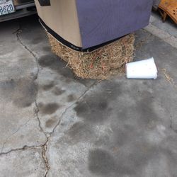 Alfalfa 2 Palas 80