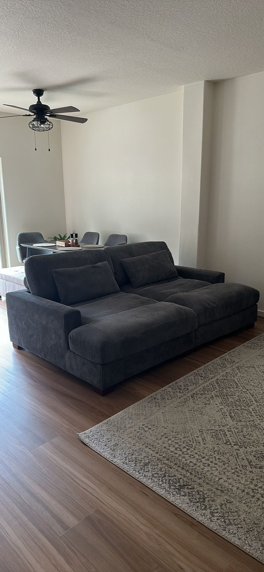 Grey Sleeper Sofa 