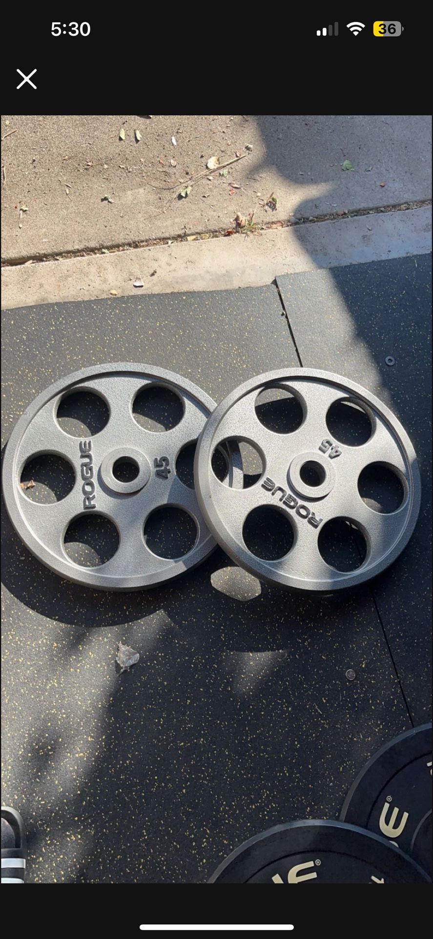 Rogue Six Shooter Olympic Weights