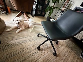Ashley furniture office chair