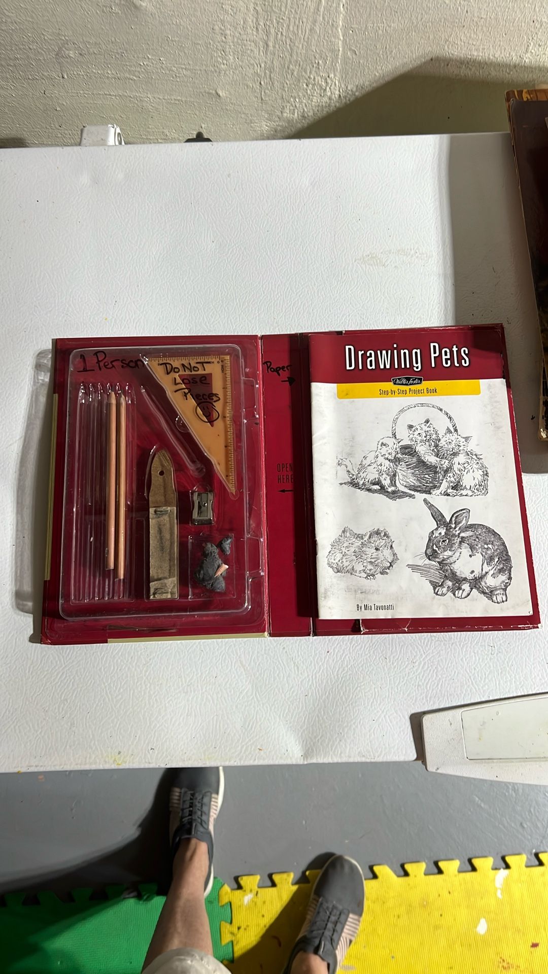 Drawing Pets