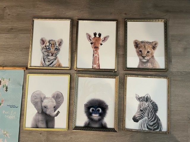 Framed Animal Portraits- Nursery 