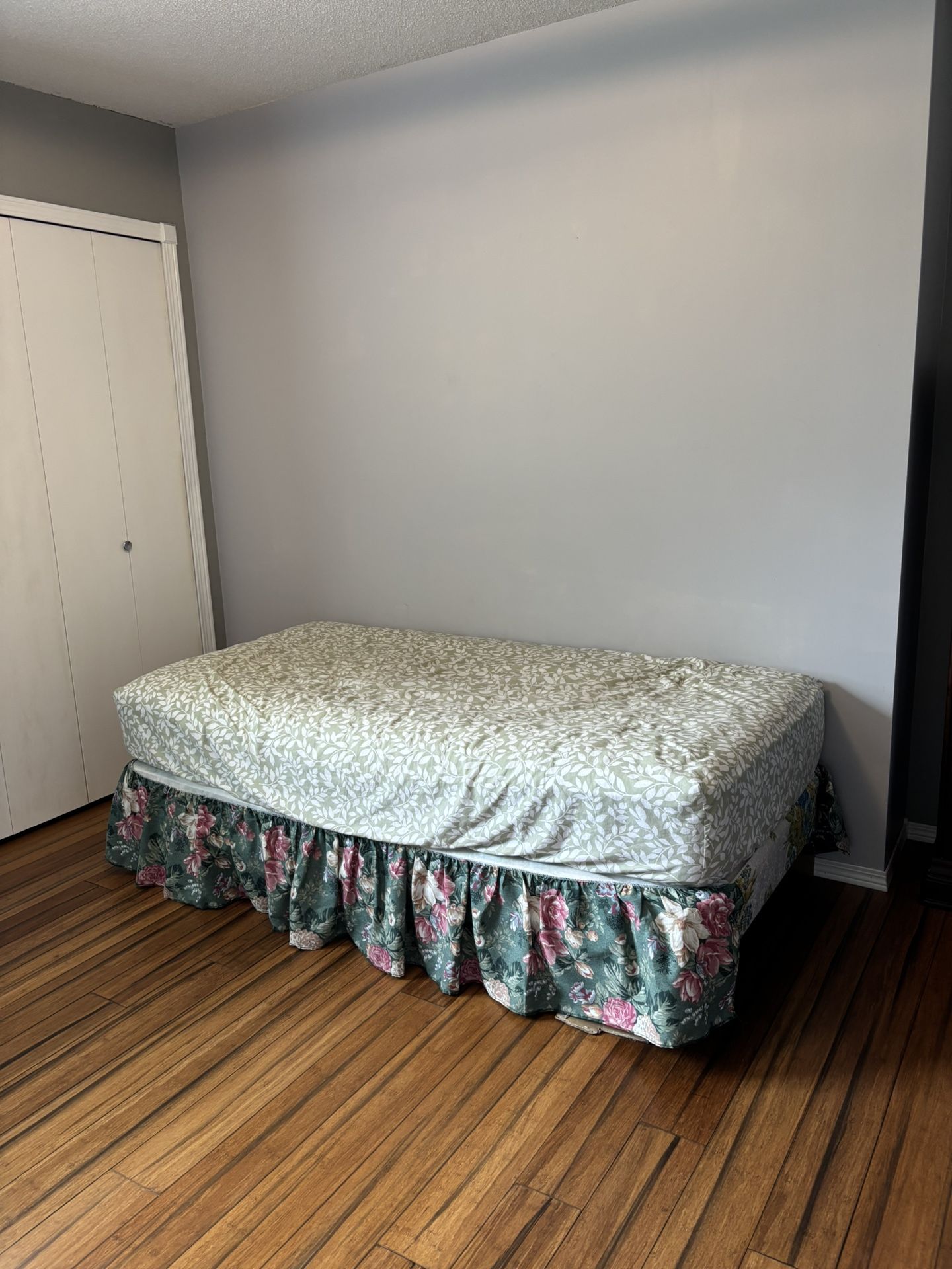 Single Bed Frame + Mattress