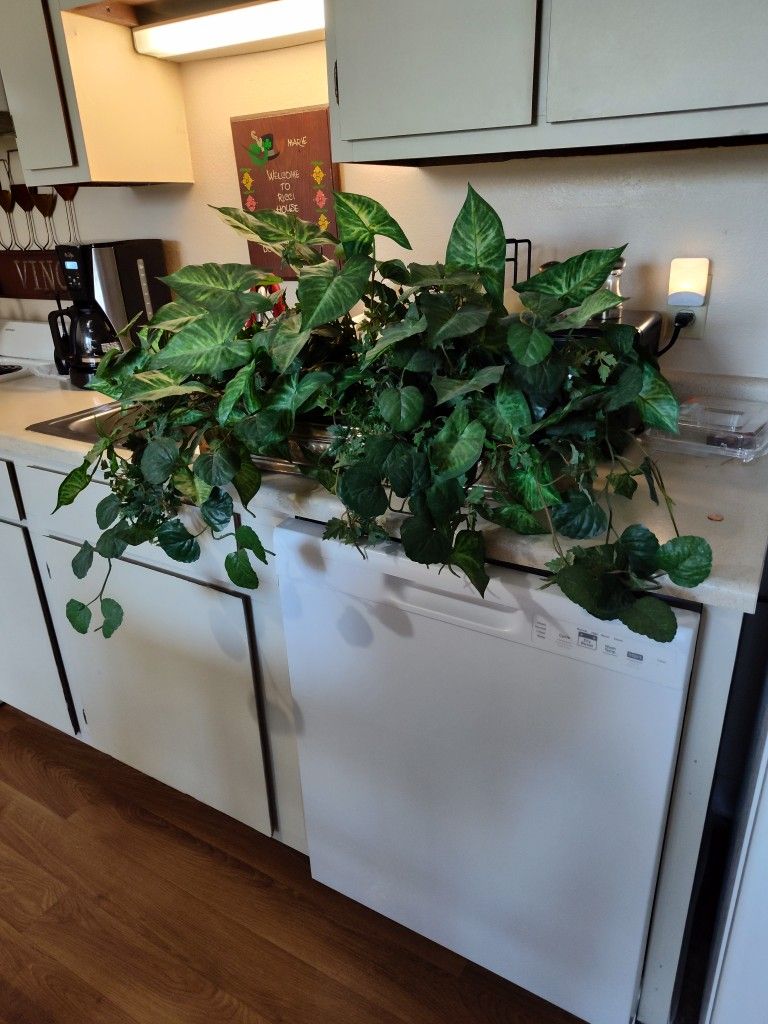 $25 - Large Artificial Plant For Your Home Or Office Decor