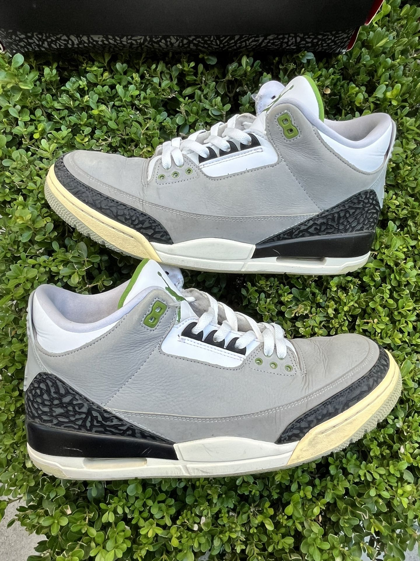 Size 11 - Air Jordan 3 Retro Chlorophyll