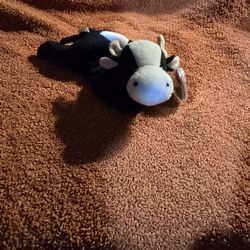 TY Toy