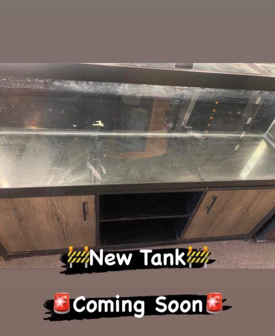120 GAL Fish Tank