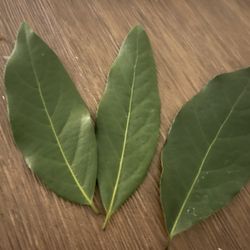 Bayleaf Fresh Picked