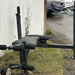 Free Weight Bench