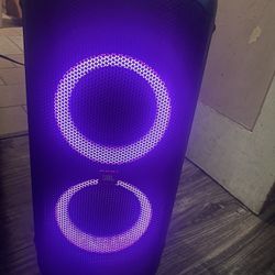 JBL 300