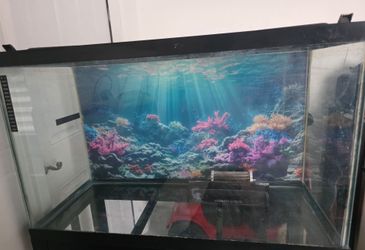 29 gallon fish tank