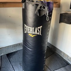 Punching Bag