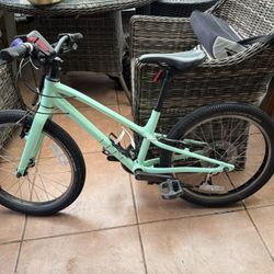 Specialized Bike 20 Wheel 