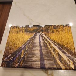 Jess Davy Photography - Pier Shadow Weeds ; West Hempton NY