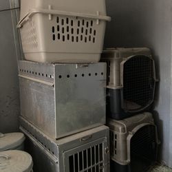 dogs crates 