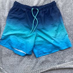 Mens Swim Shorts Large