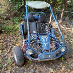 Full Size Go Kart 2  Seater, Hammer Head Gt 150  Sport
